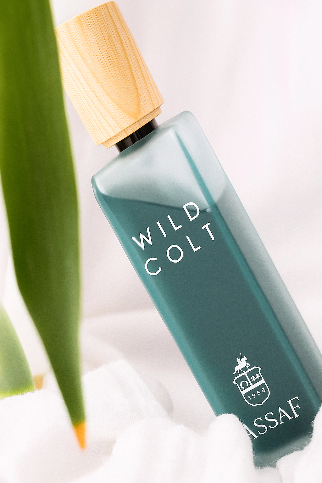 Wild Colt by ASSAF – Premium Long-Lasting Unisex Eau de Parfum (100ml)